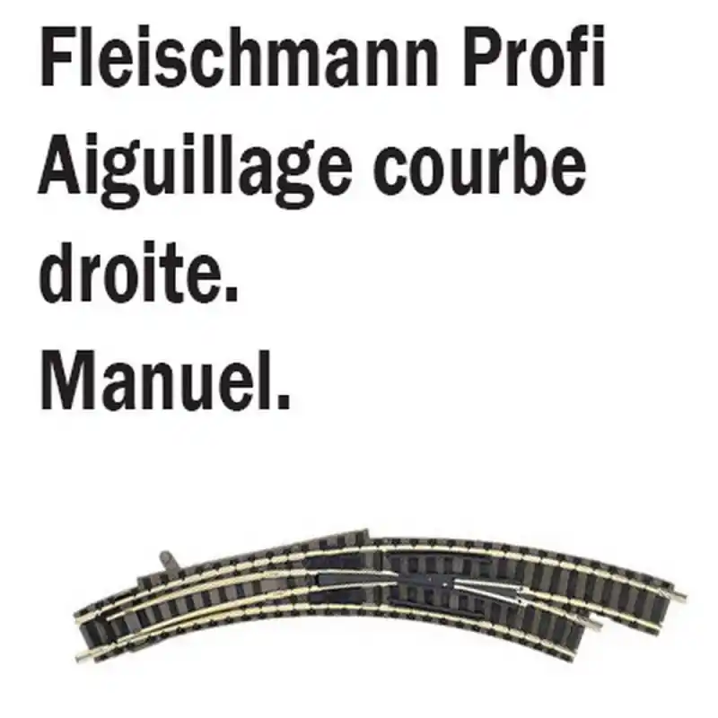 Livraison Express Aiguillage courbe droit-N-1/160-FLEISCHMANN 9175