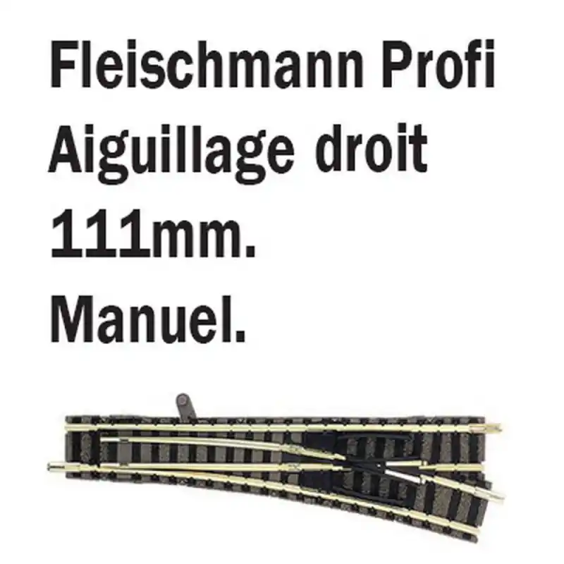 Aiguillage droit droit-N-1/160-FLEISCHMANN 9171 Produit De Marque