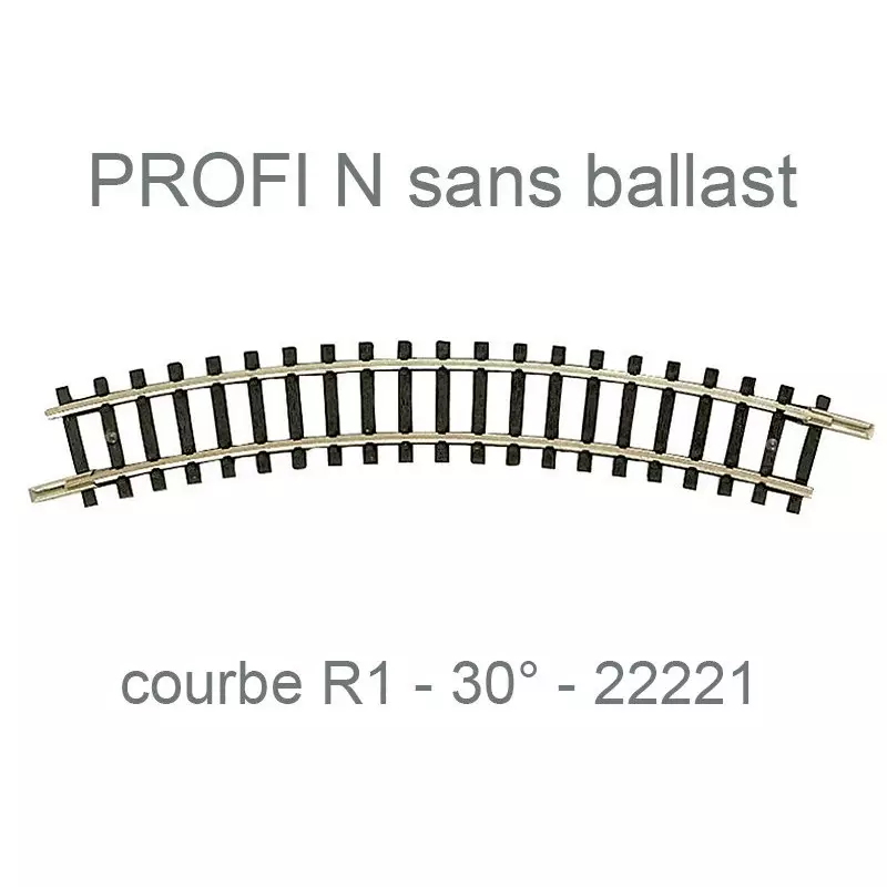 FLEISCHMANN 22221 Rail Courbe r1 194,6mm 30° - N 1/160 - Profi Sans Ballast Nouvelle Collection