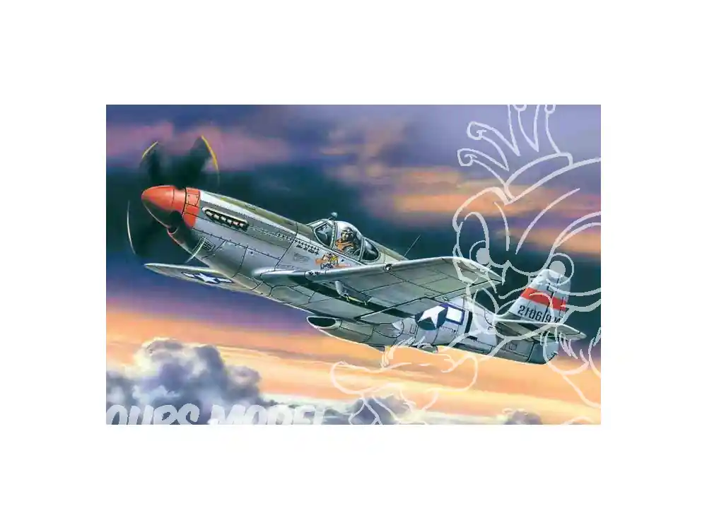 Icm maquette avion 48121 Mustang P-51C WWII 1/48 Offre Exclusive