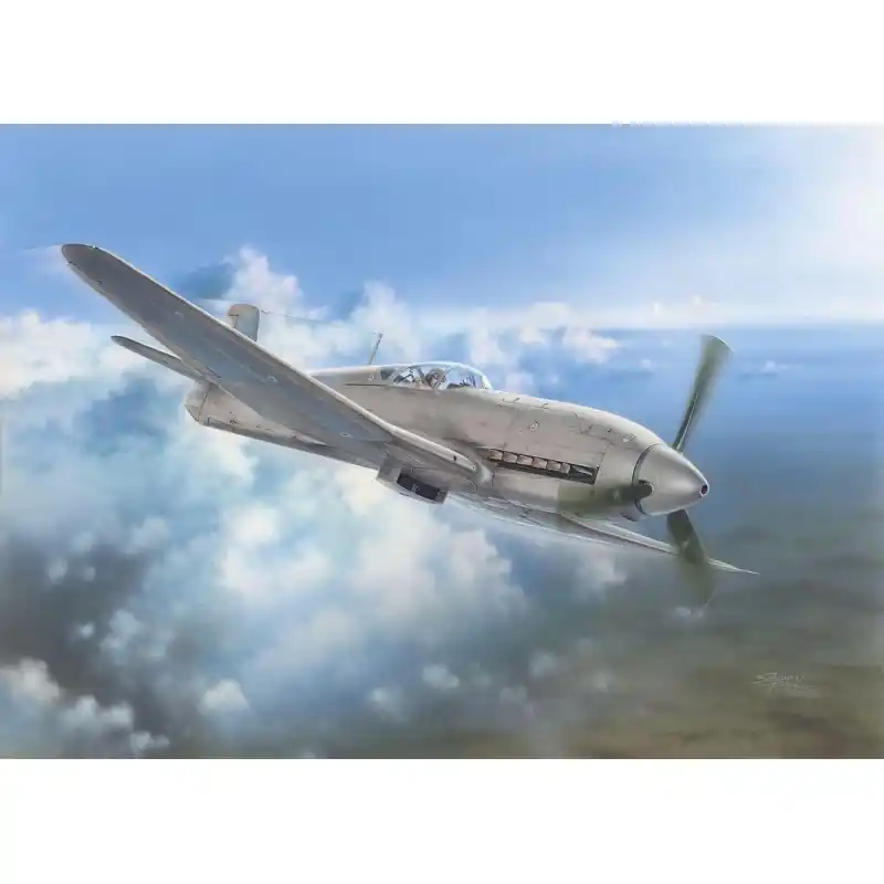 Prix Bas SPECIAL HOBBY 32045 MAQUETTE HEINKEL HE 100D "SOVIET AND JAPANESE TEST PLANE" 1/32