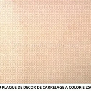 *SOLDES* - PLAQUE DE DECOR DE CARRELAGE A COLORIE 250X125mm Usine Directe