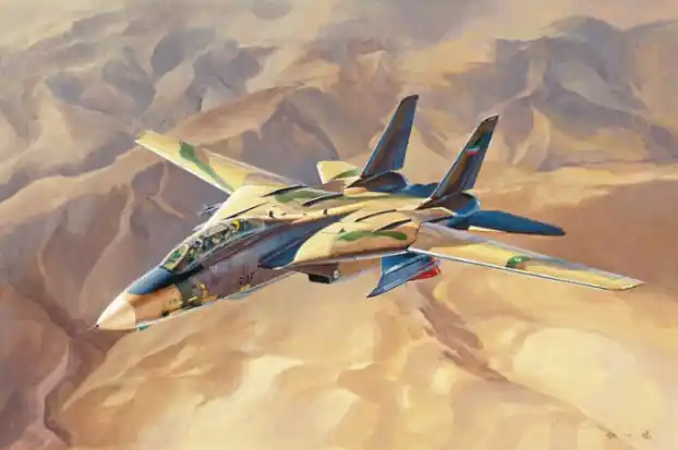 Prix Bas Hobby Boss 81771 IRIAF Persian Cat F-14A Tomcat