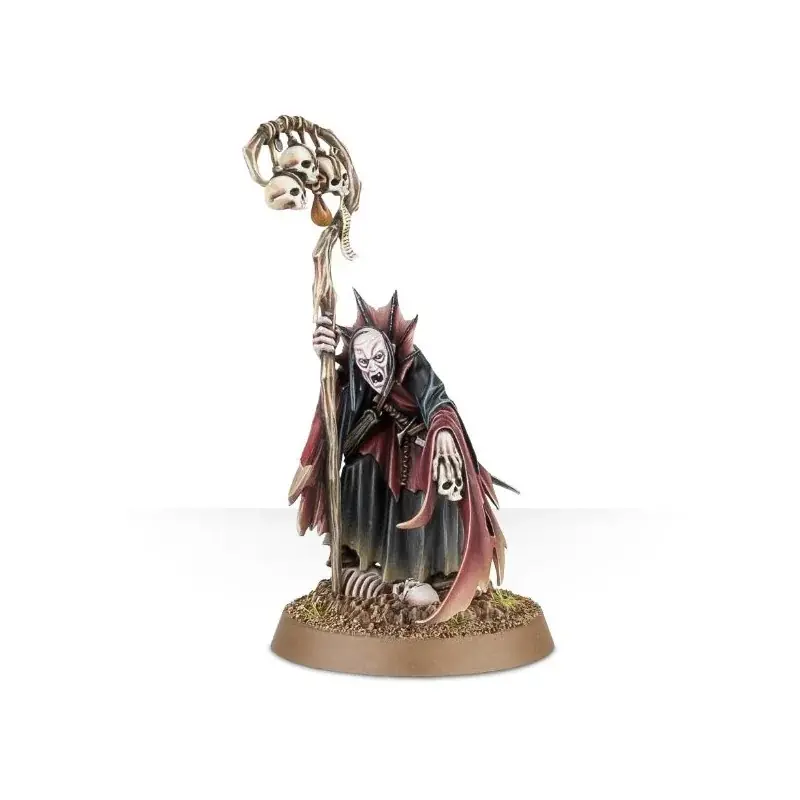 Expédié Aujourd'hui Soulblight Gravelords Necromancer